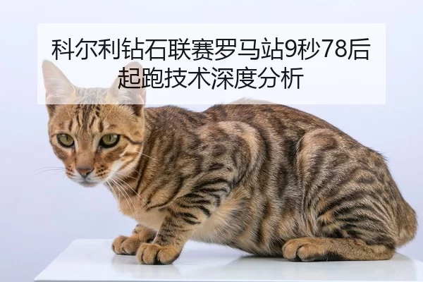 科尔利钻石联赛罗马站9秒78后起跑技术深度分析