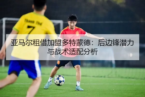 ya-ma-er-zu-jie-jia-meng-duo-te-meng-de-hou-bian-feng-qian-li-yu-zhan-shu-shi-pei-fen-xi-2-466.jpg