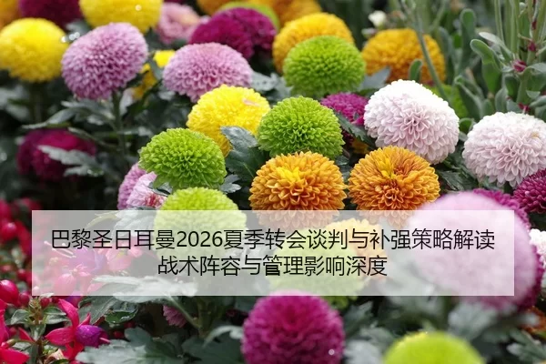 ba-li-sheng-ri-er-man-xia-ji-zhuan-hui-tan-pan-yu-bu-qiang-ce-lve-jie-du-zhan-shu-zhen-rong-yu-guan-li-ying-xiang-shen-2-633.jpg
