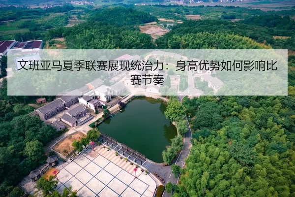 文班亚马夏季联赛展现统治力：身高优势如何影响比赛节奏